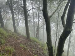 -羚羊峡古栈道森林公园