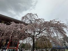 -浅草寺