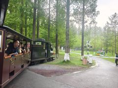 -黄海国家森林公园