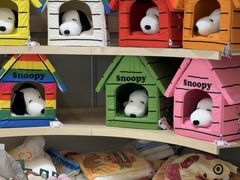 -帕帕拉兹宠物(亚洲旗舰店)