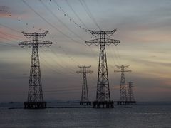 -宝安西湾红树林湿地公园