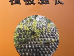 -乐山市博物馆