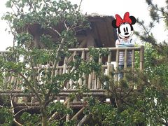 -武清南湖绿博园