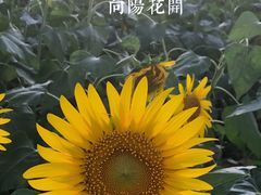 -厦门园林博览苑