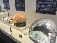 -安徽省地质博物馆