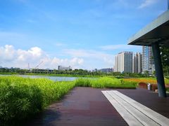 -深圳人才公园