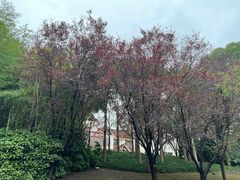 -南通鹏欣花园国宾酒店