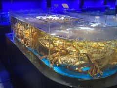 -徐记海鲜(大雁塔|金都店)