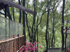 -巴倒烫陆派火锅山庄(南山总店)