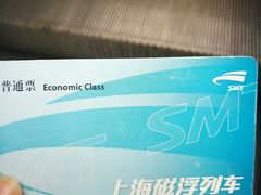 -龙阳路磁悬浮列车总站-停车场