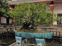 -小榄公饭店·岭南庭院餐厅(民安北路店)