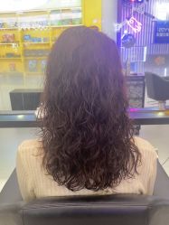 -东方麒麟·潘多拉SALON