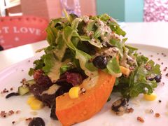 -百好乐宠物友好餐厅(朝外大街店)