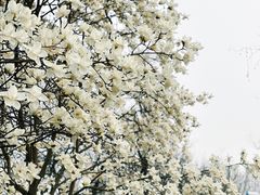 -睦南公园