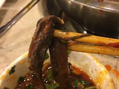 -朱氏胖子烂火锅(洪崖洞店)