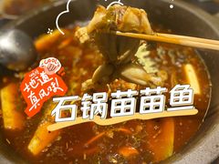 -石锅苗苗鱼(武汉首店)