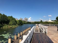 -新江湾城公园