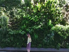 -旧金山现代艺术博物馆