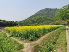 -八卦田遗址公园