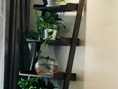 -秦美花卉(天朗·莱茵小城2期店)