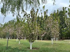 -元大都城垣遗址公园