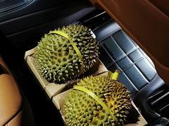 -双福水果批发市场