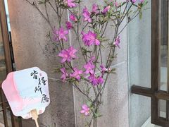 -桃源咖啡厅(武夷山大红袍山庄店)