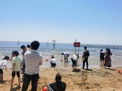 -碧海金沙