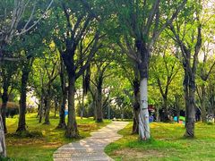 -牛岗山公园