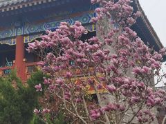 -盛世南宫影视城(北普陀影视城)