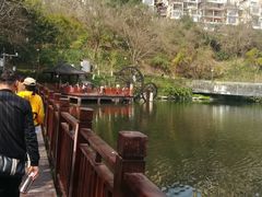 -重庆彩云湖湿地公园