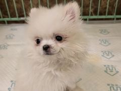 -美联众合24小时·皮肤科·外科·全科诊疗中心(华苑分院)