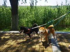 -太阳岛度假酒店