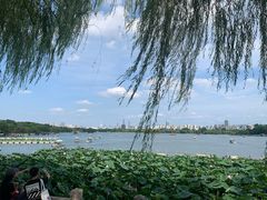-济南大明湖景区