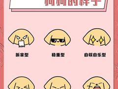 -翊宠yipet猫狗购宠庄园犬舍•猫舍