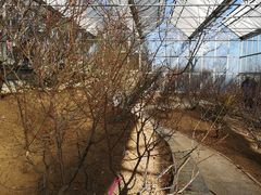 -北京鹫峰国家森林公园