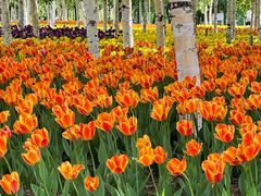 -长春公园(普阳街道)