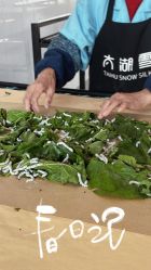 -太湖雪蚕桑文化园