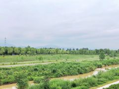 -洨河生态公园