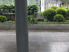 -中信银行(深圳城市广场旗舰支行)