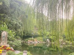 -趵突泉景区