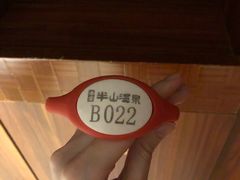 -天目湖涵田半山温泉