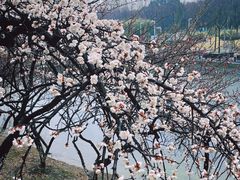-白塘生态植物园