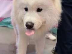 -友谊阳光城