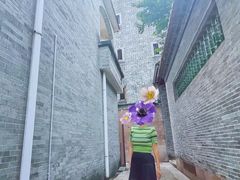 -碧江金楼