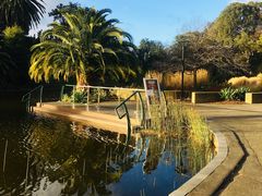 -墨尔本皇家植物园