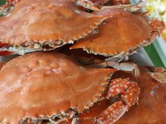 -沿海渔家院蒸汽海鲜·东北菜(东戴河店)