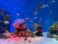 -秦皇岛新澳海底世界