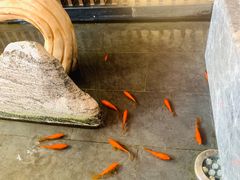 -楚禾宴·家宴(光谷大道店)