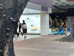 -屯门公园